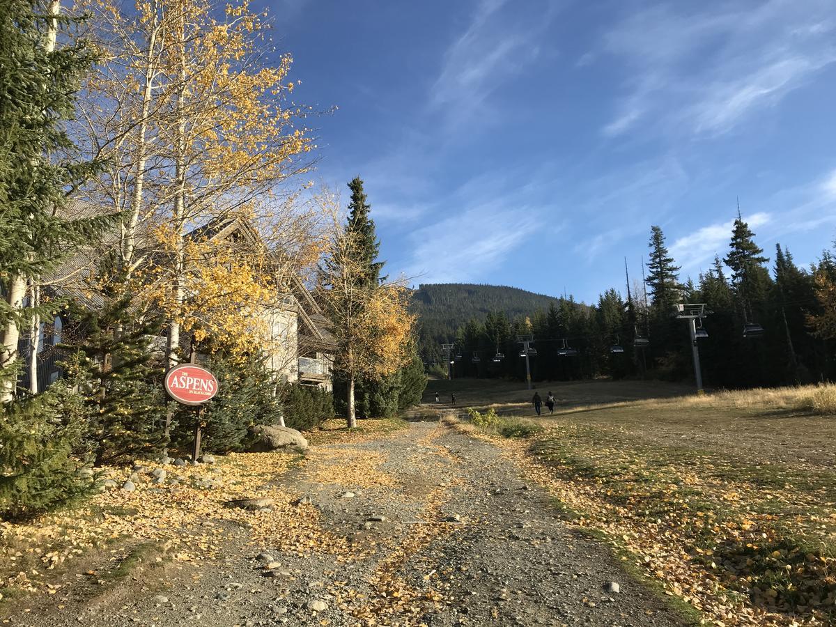 The Best Top Floor Ski-In/Ski-Out At The Aspens ウィスラー エクステリア 写真