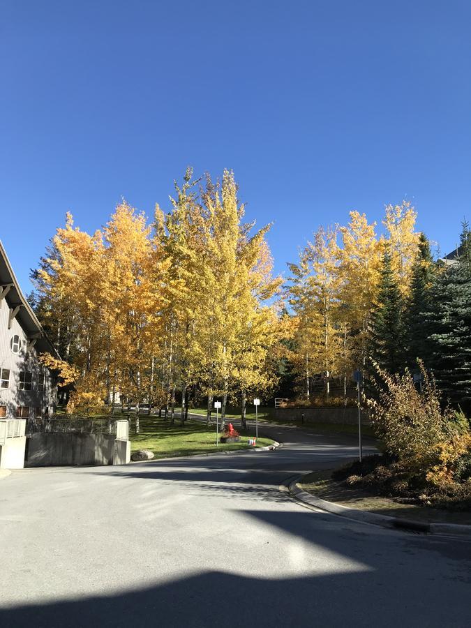 The Best Top Floor Ski-In/Ski-Out At The Aspens ウィスラー エクステリア 写真